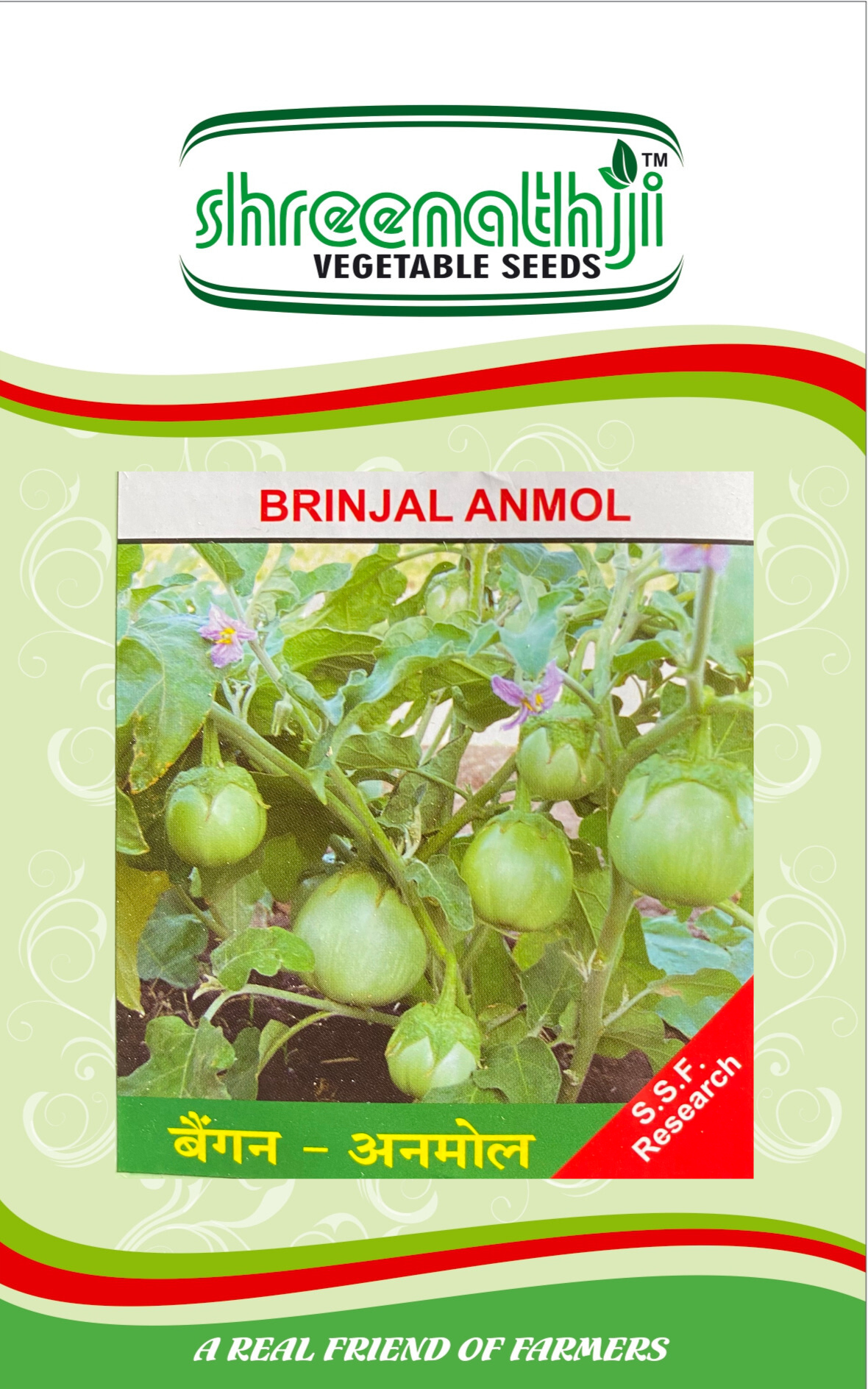 રીંગણ અનમોલ